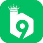 b9 game